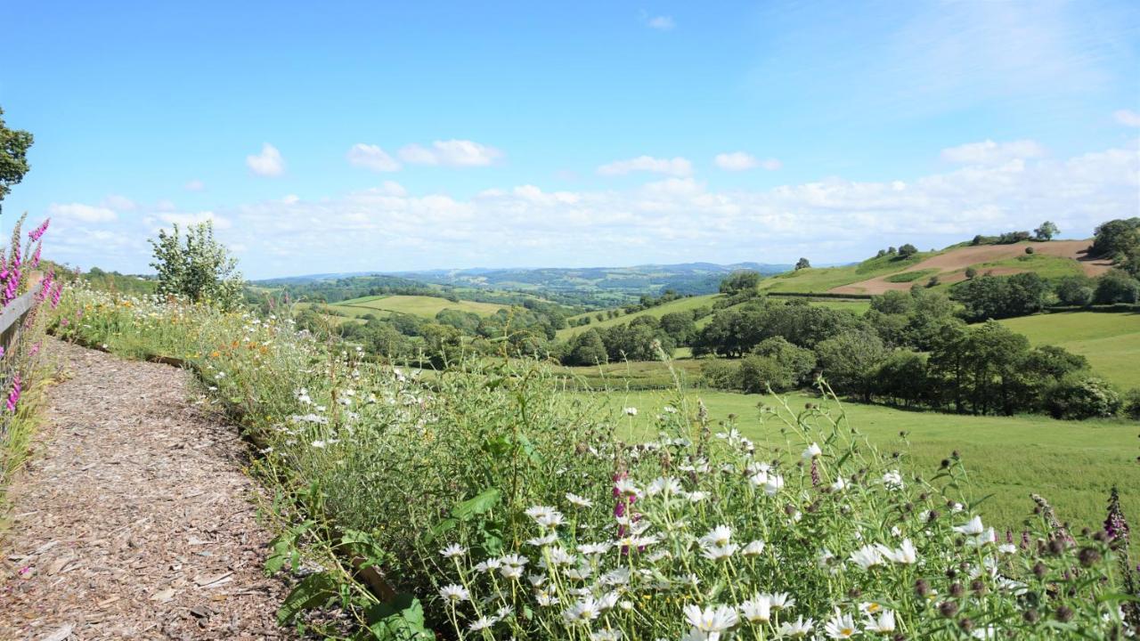 Shepherd'S Watch Cottage - 5* Cyfie Farm With Private Hot Tub Llanfyllin Exterior foto